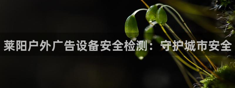 杏宇平台怎么样赚钱