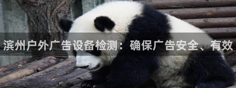 杏宇平台总代理是谁：滨州户外广告设备检测：确保广告安全、有效