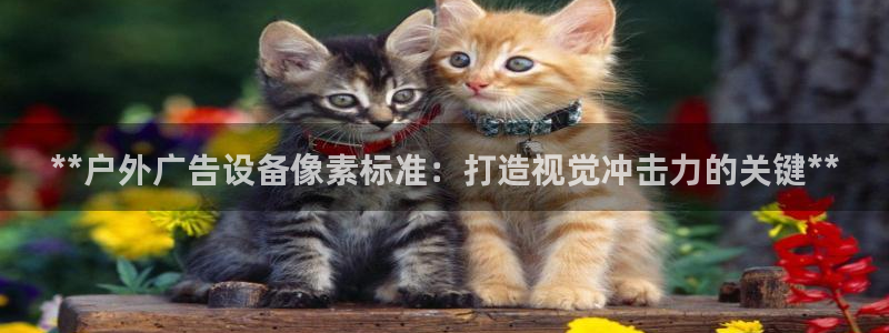 杏宇平台是什么：**户外广告设备像素标准：打造视觉冲击力的关键**