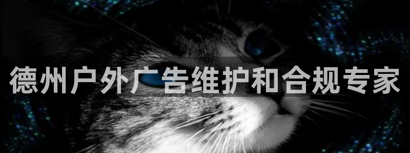 杏宇官方平台官网入口