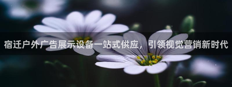 杏宇平台总代理