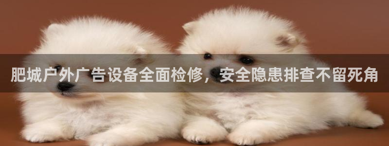 杏宇平台是什么
