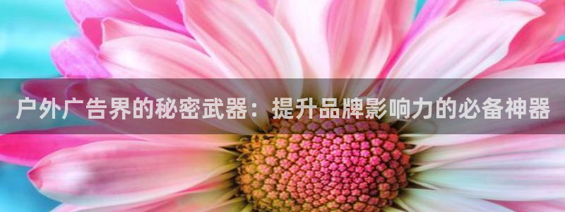 杏宇平台总代理电话