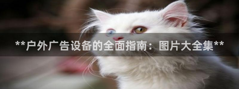 杏宇平台登录步骤是什么