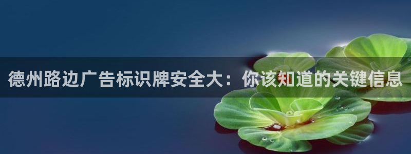杏宇平台登录方法