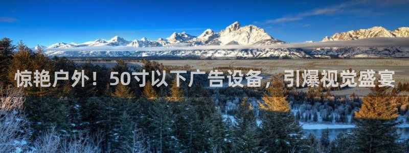 杏宇平台代理怎么赚钱快