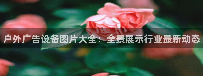 杏宇平台怎么样赚钱