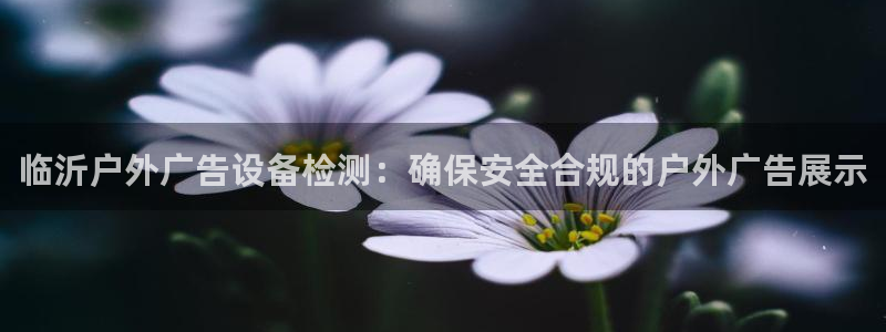 杏宇平台总代理电话