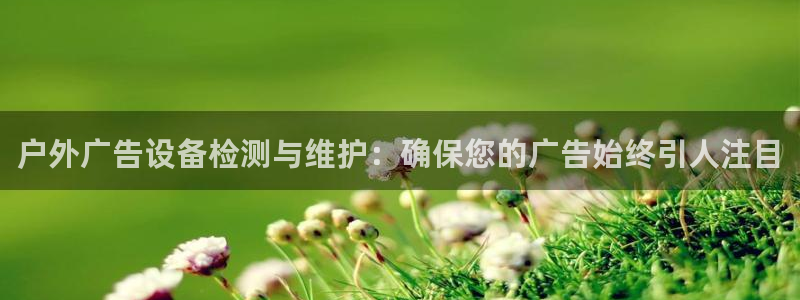 杏宇平台是什么