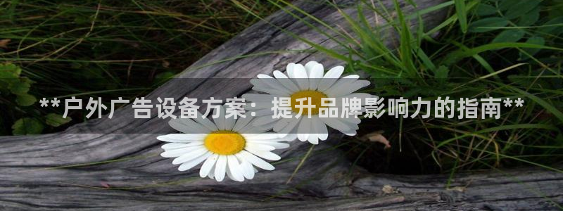 杏宇官方平台官网下载