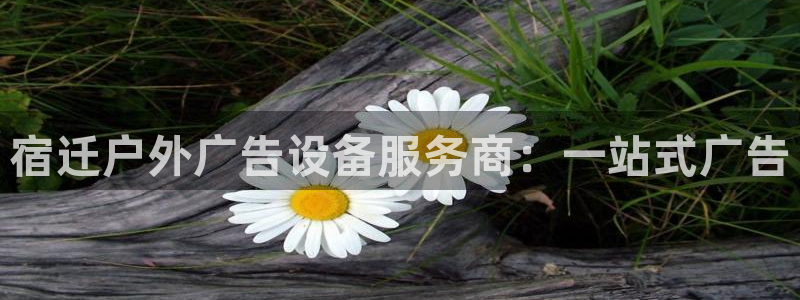 杏宇平台代理怎么赚钱快
