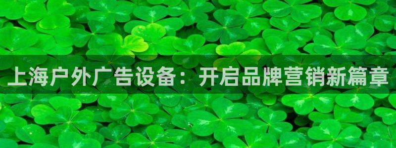 杏宇平台登录步骤图