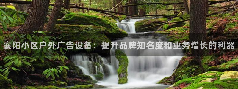 杏宇平台总代理电话