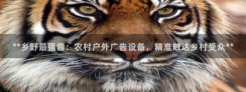 杏宇平台怎么样知乎