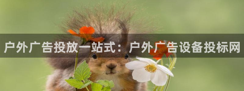 杏宇平台是什么