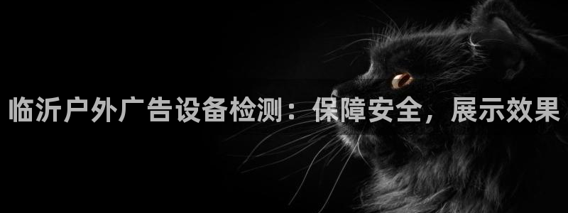 杏宇平台好吗：临沂户外广告设备检测：保障安全，展示效果