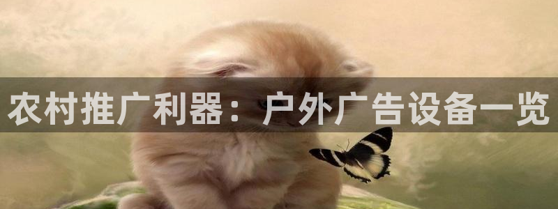 杏宇平台登录步骤