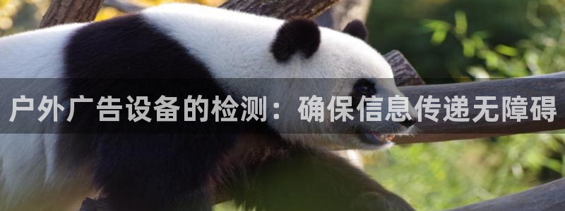 杏宇平台怎么样知乎