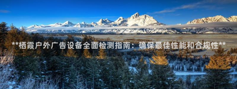 杏宇平台代理怎么样