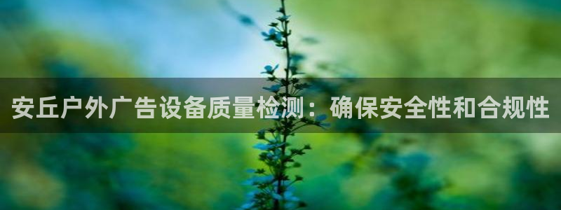 杏宇平台是什么