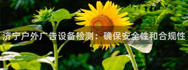 杏宇平台好吗