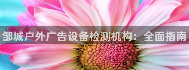 杏宇平台代理多少钱