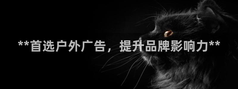 杏宇平台代理多少钱一个：**首选户外广告，提升品牌影响力**