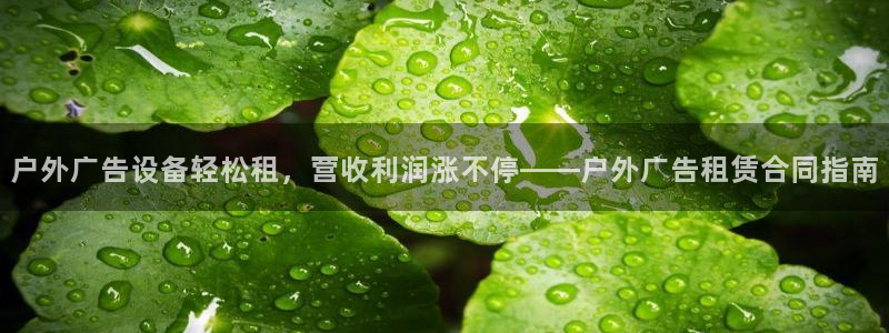 杏宇平台代理怎么样赚钱