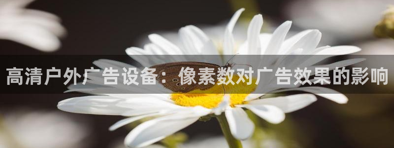 杏宇平台登录步骤图：高清户外广告设备：像