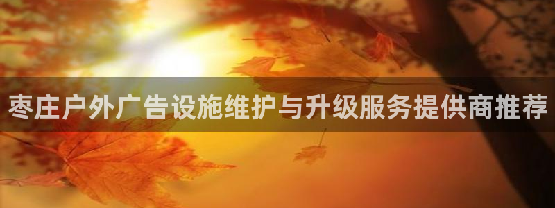 杏宇平台代理多少钱一次：枣庄户外广告设施
