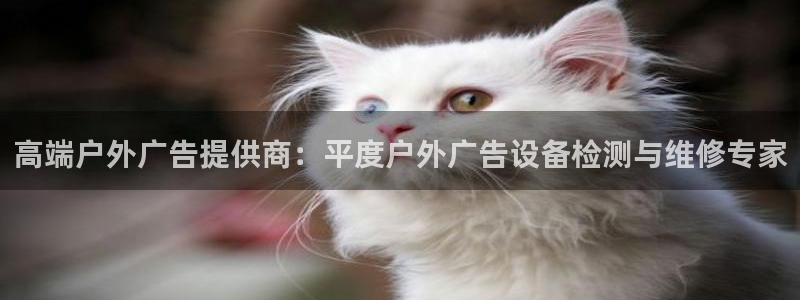杏宇官方平台官网下载：高端户外广告提供商