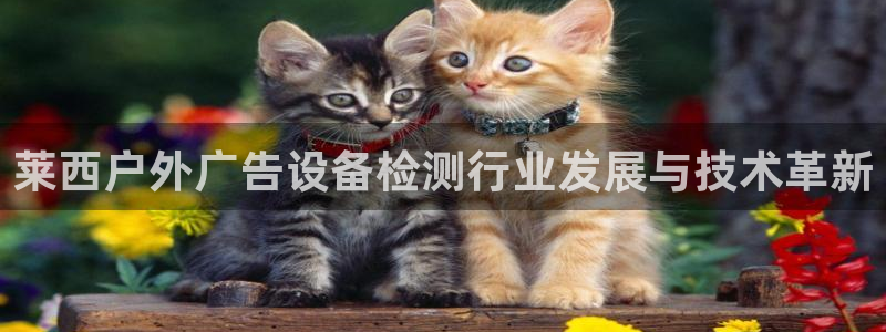 杏宇平台提现为什么这么久呢：莱西户外广告