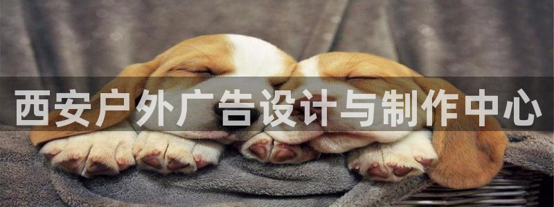 杏宇平台注册地址在哪里：西安户外广告设计