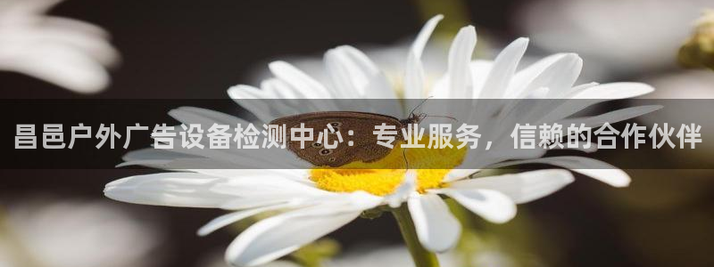 杏宇平台代理多少钱：昌邑户外广告设备检测中心：专业服务，信赖的合作伙伴