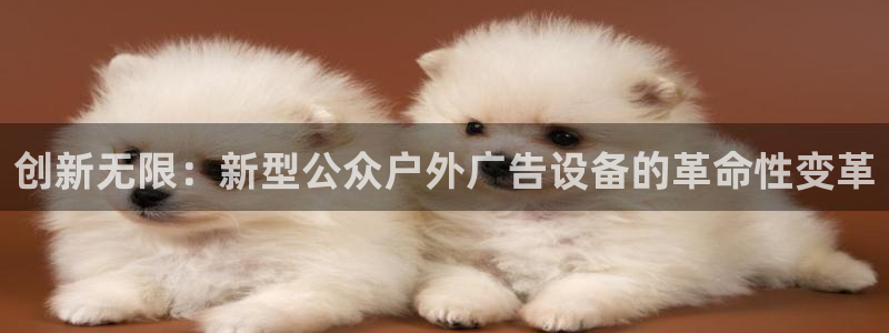 杏宇官方平台官网入口：创新无限：新型公众