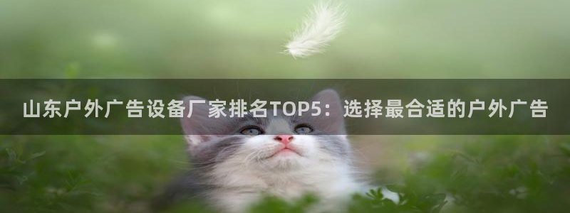 杏宇平台代理怎么样可靠吗：山东户外广告设