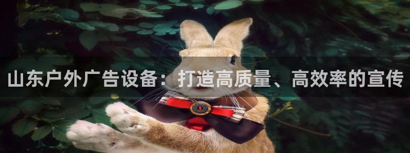 杏宇平台怎么样知乎