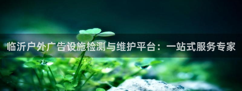 杏宇平台主管：临沂户外广告设施检测与维护