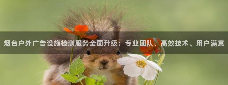 杏宇平台招商电话号码：烟台户外广告设施检测服务全面升级：专业团队、高效技术、用户满意