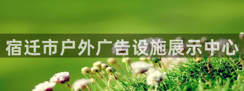 杏宇平台代理怎么样：宿迁市户外广告设施展