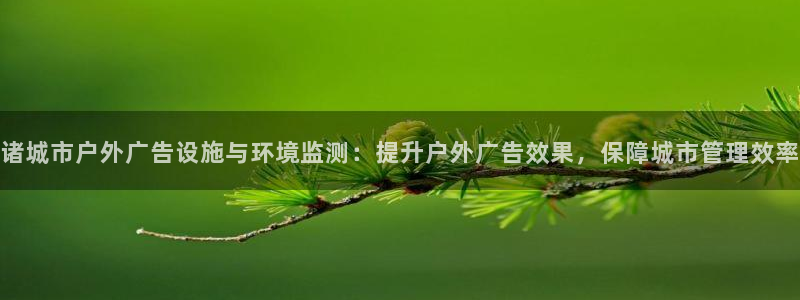 杏宇平台招商电话号码