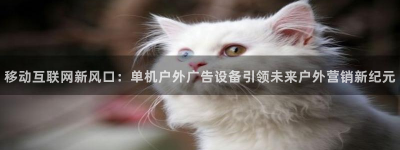 杏宇官方平台官网入口:移动互联网新风口: 杏宇官方平台官网入口:移动互联网新风口: