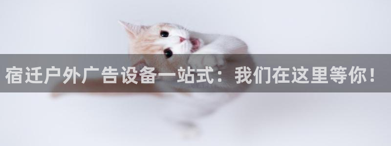 杏宇平台是什么