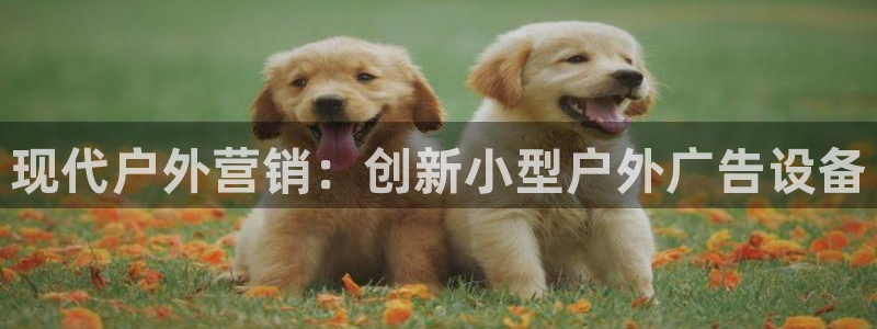 杏宇平台好吗：现代户外营销：创新小型户外广告设备