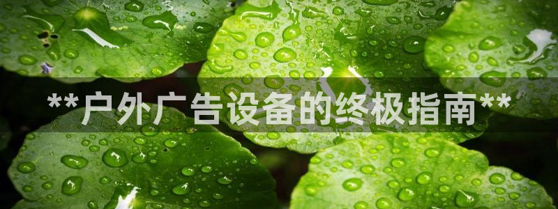 杏宇平台总代理：**户外广告设备的终极指南**