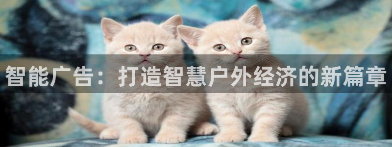 杏宇平台代理怎么赚钱：智能广告：打造智慧户外经济的新篇章