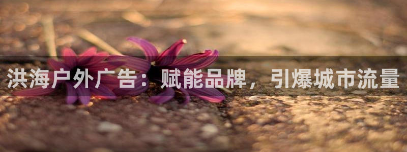 杏宇平台登录方法