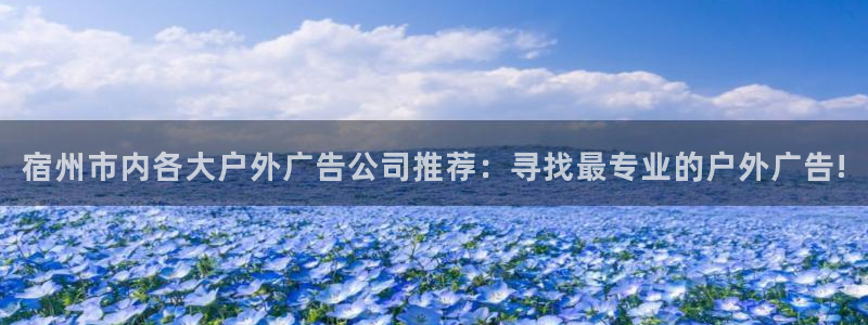 杏宇平台代理怎么样：宿州市内各大户外广告公司推荐：寻找最专业的户外广告!