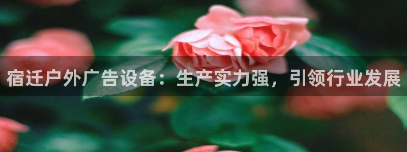杏宇官方平台官网