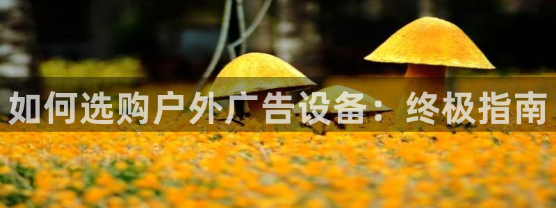 杏宇平台代理怎么赚钱